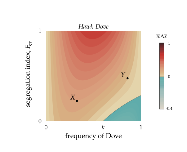 Selection diagram for cooperation in the Hawk-Dove game